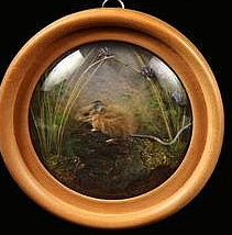 Woodland Jumping Mouse